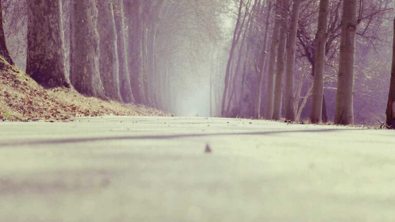 How To Make A 99 Exch Id Create Online Request?